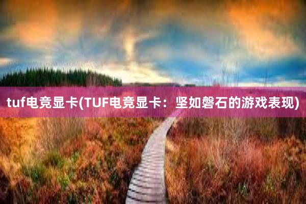 tuf电竞显卡(TUF电竞显卡：坚如磐石的游戏表现)