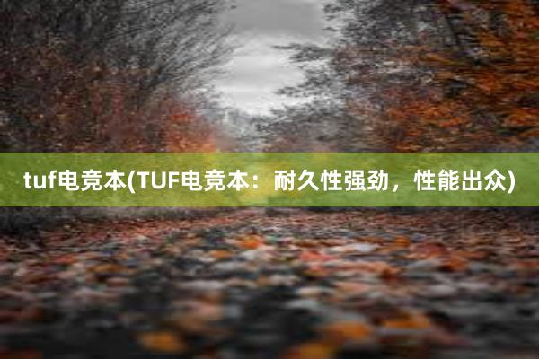 tuf电竞本(TUF电竞本：耐久性强劲，性能出众)