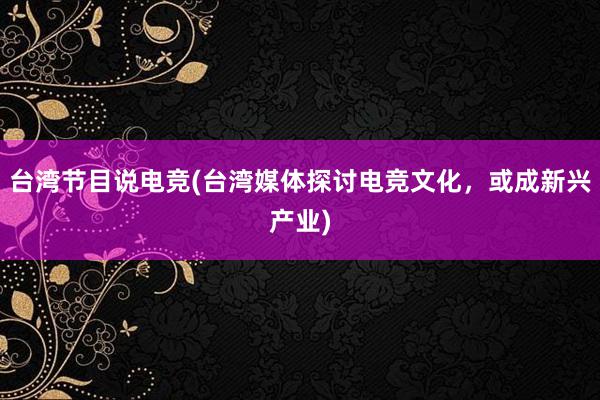 台湾节目说电竞(台湾媒体探讨电竞文化，或成新兴产业)