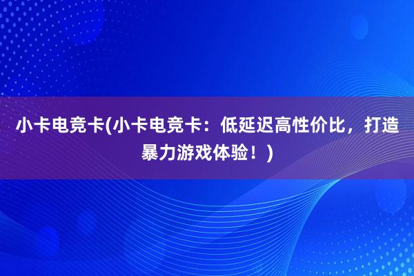 小卡电竞卡(小卡电竞卡：低延迟高性价比，打造暴力游戏体验！)