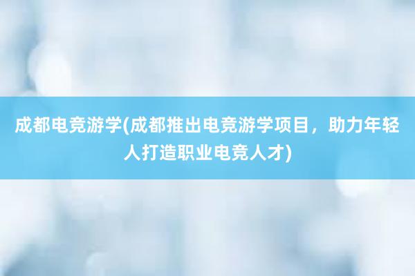 成都电竞游学(成都推出电竞游学项目，助力年轻人打造职业电竞人才)