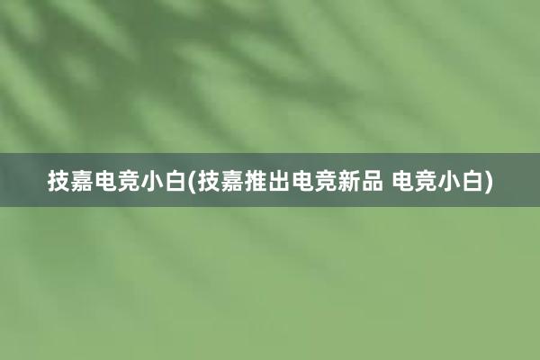 技嘉电竞小白(技嘉推出电竞新品 电竞小白)