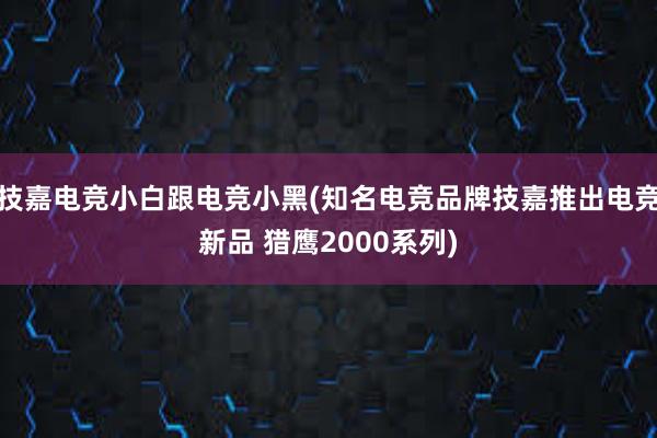 技嘉电竞小白跟电竞小黑(知名电竞品牌技嘉推出电竞新品 猎鹰2000系列)