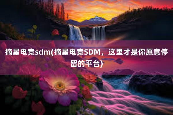 摘星电竞sdm(摘星电竞SDM，这里才是你愿意停留的平台)