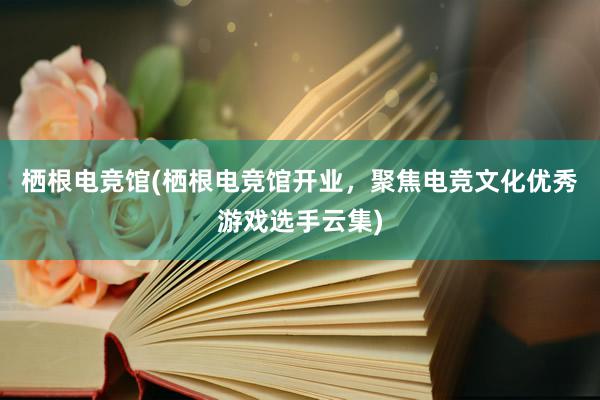 栖根电竞馆(栖根电竞馆开业，聚焦电竞文化优秀游戏选手云集)