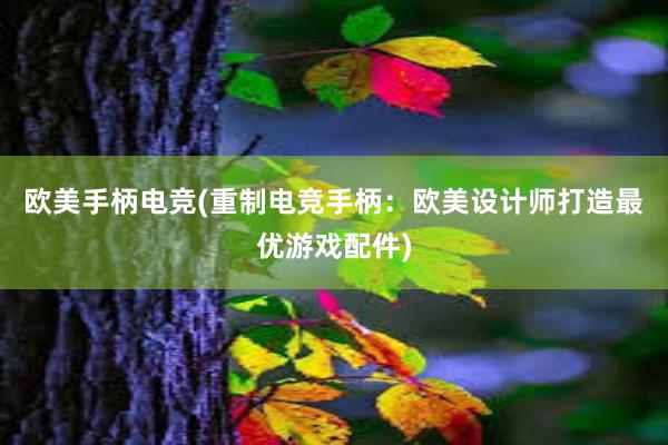 欧美手柄电竞(重制电竞手柄：欧美设计师打造最优游戏配件)