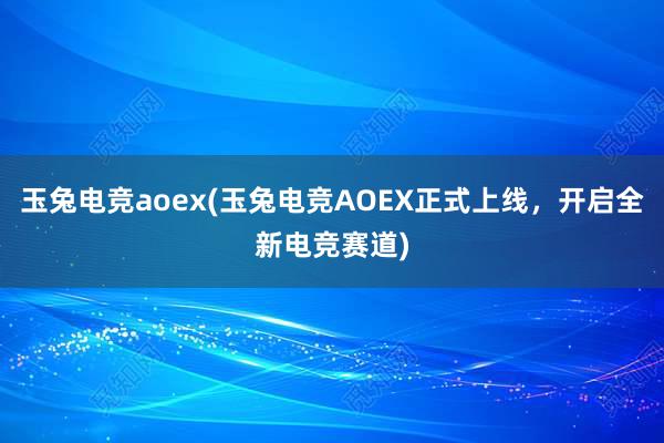 玉兔电竞aoex(玉兔电竞AOEX正式上线，开启全新电竞赛道)