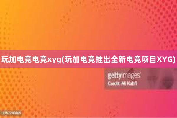 玩加电竞电竞xyg(玩加电竞推出全新电竞项目XYG)