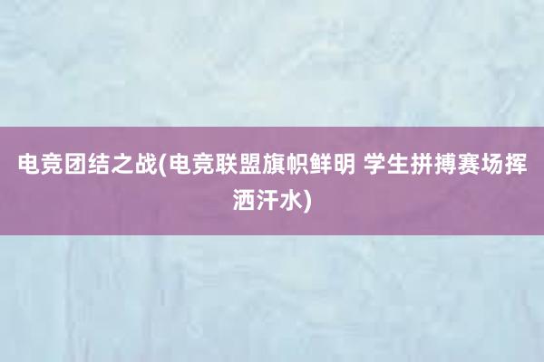 电竞团结之战(电竞联盟旗帜鲜明 学生拼搏赛场挥洒汗水)