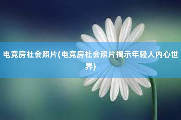 电竞房社会照片(电竞房社会照片揭示年轻人内心世界)