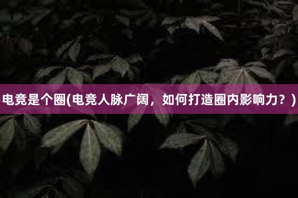 电竞是个圈(电竞人脉广阔，如何打造圈内影响力？)