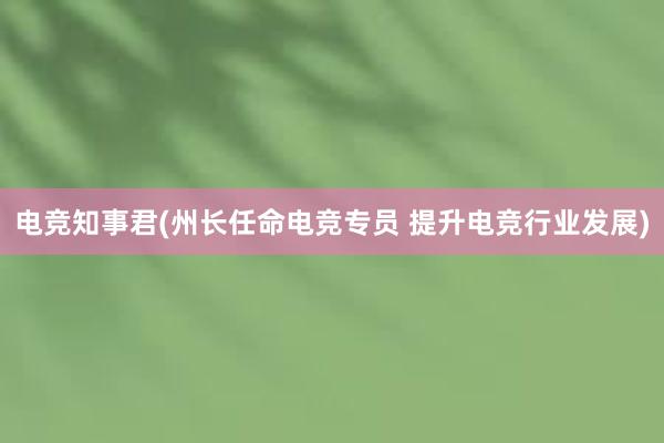 电竞知事君(州长任命电竞专员 提升电竞行业发展)