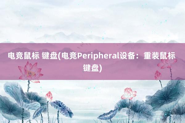 电竞鼠标 键盘(电竞Peripheral设备：重装鼠标 键盘)