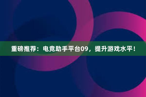 重磅推荐：电竞助手平台09，提升游戏水平！