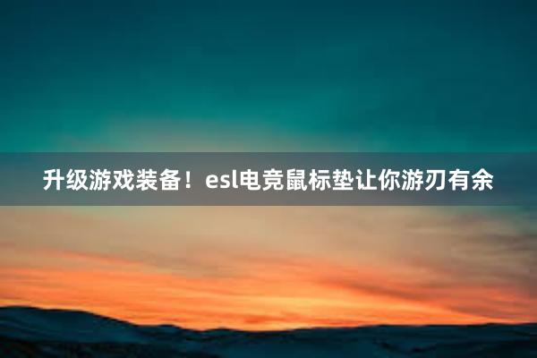 升级游戏装备！esl电竞鼠标垫让你游刃有余