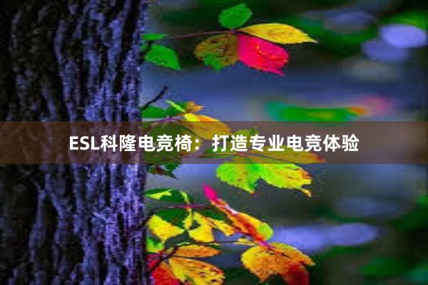 ESL科隆电竞椅：打造专业电竞体验