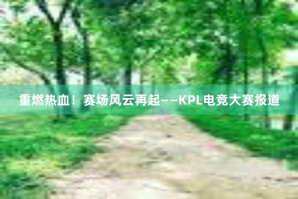 重燃热血！赛场风云再起——KPL电竞大赛报道