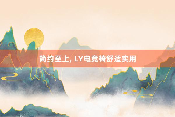 简约至上， LY电竞椅舒适实用