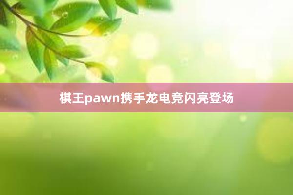 棋王pawn携手龙电竞闪亮登场