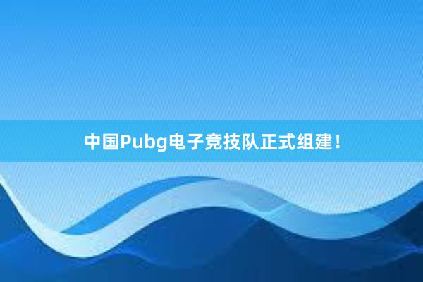 中国Pubg电子竞技队正式组建！