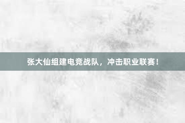 张大仙组建电竞战队，冲击职业联赛！