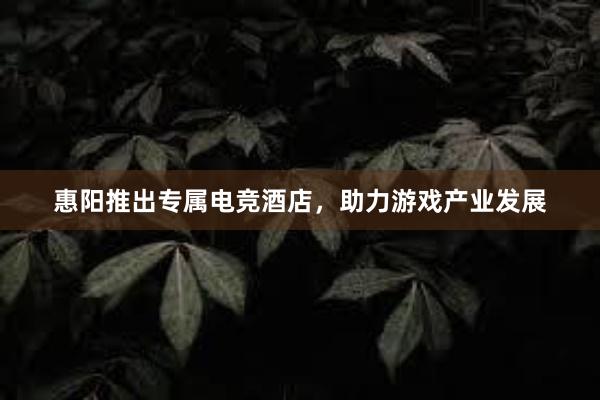 惠阳推出专属电竞酒店，助力游戏产业发展