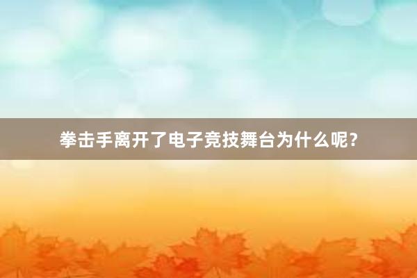 拳击手离开了电子竞技舞台为什么呢？