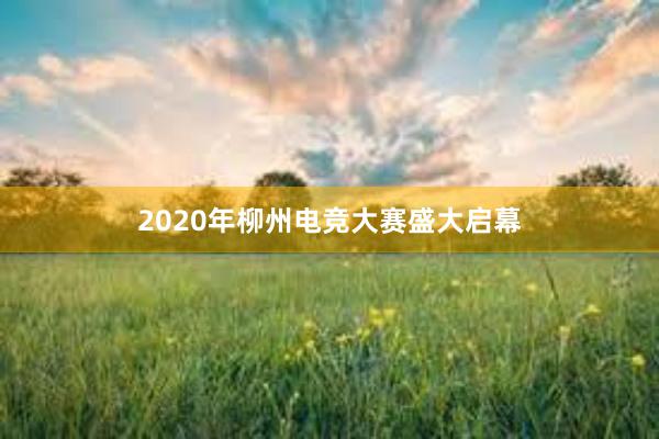 2020年柳州电竞大赛盛大启幕