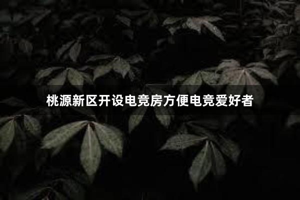 桃源新区开设电竞房方便电竞爱好者