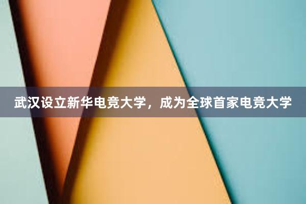 武汉设立新华电竞大学，成为全球首家电竞大学