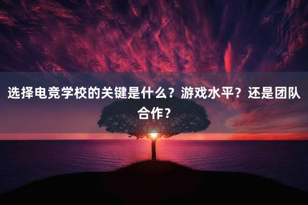 选择电竞学校的关键是什么？游戏水平？还是团队合作？